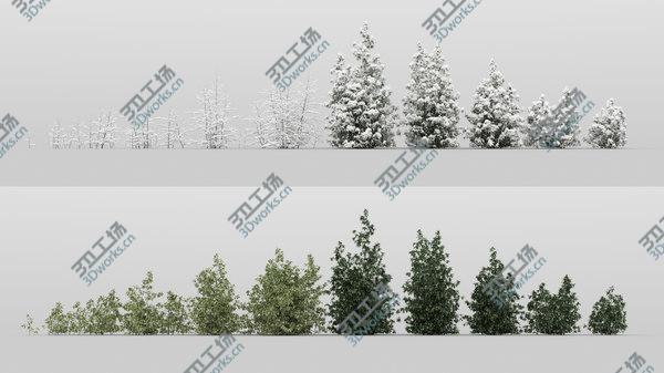 images/goods_img/20210312/10plus10 Forest Bush/4.jpg
